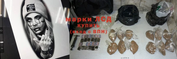 винт Алзамай