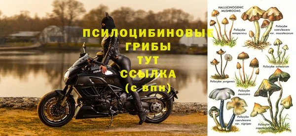 СК Алексеевка